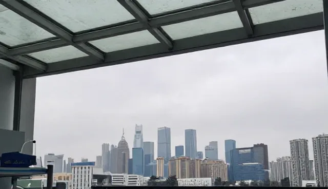 提升数据导出效率,优化行业分类信息处理